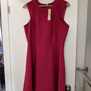 NWT hot pink A line dress with gold zipper